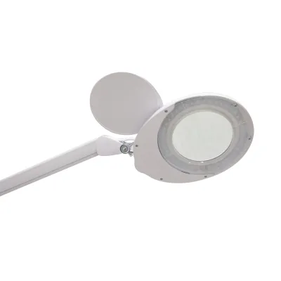 MAGNI